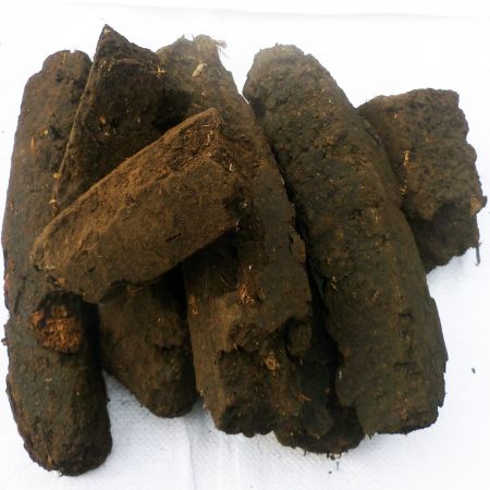 1 Bag of Peat