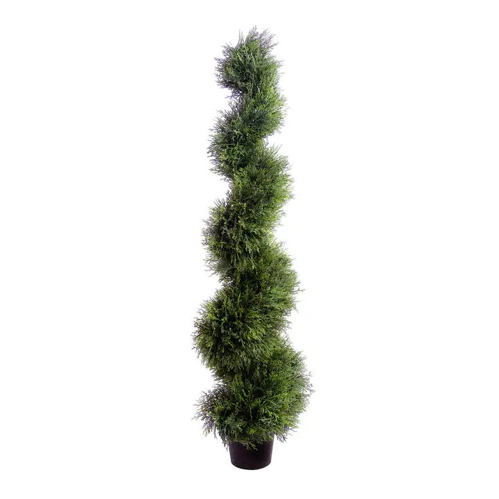 Cedar 5ft Spiral Tree - Slemish Landscape Centre