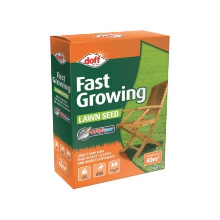Fast Growing Lawn Seed 1Kg