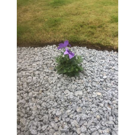 Mourne Granite (Half Bulk Bag) - image 2